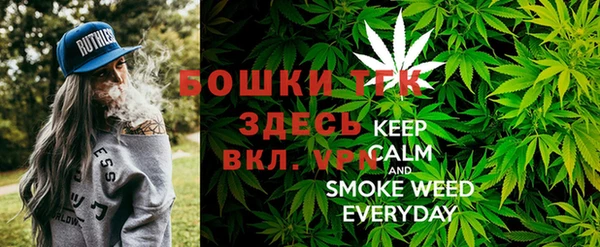 индика Покровск