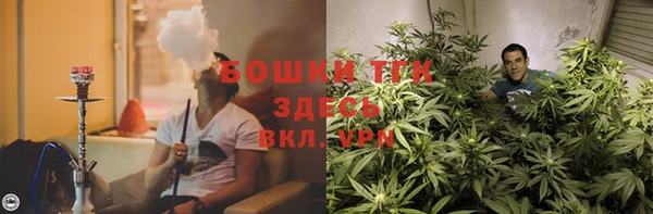 ГАЛЛЮЦИНОГЕННЫЕ ГРИБЫ Протвино